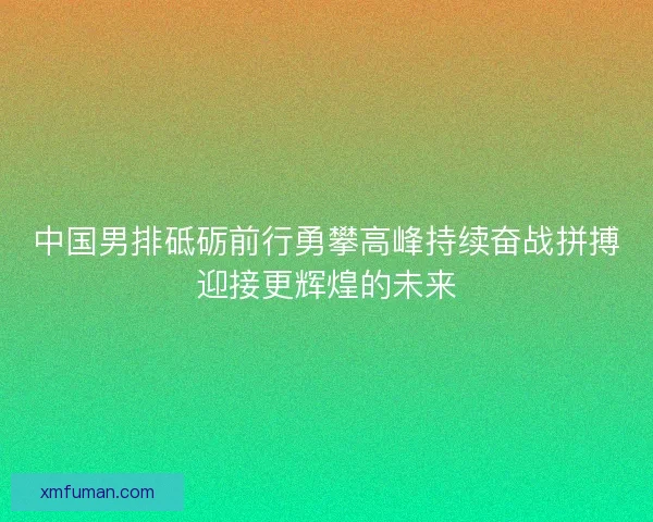 中国男排砥砺前行勇攀高峰持续奋战拼搏迎接更辉煌的未来