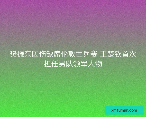樊振东因伤缺席伦敦世乒赛 王楚钦首次担任男队领军人物 樊振东因伤缺席伦敦世乒赛 王楚钦首次担任男队领军人物